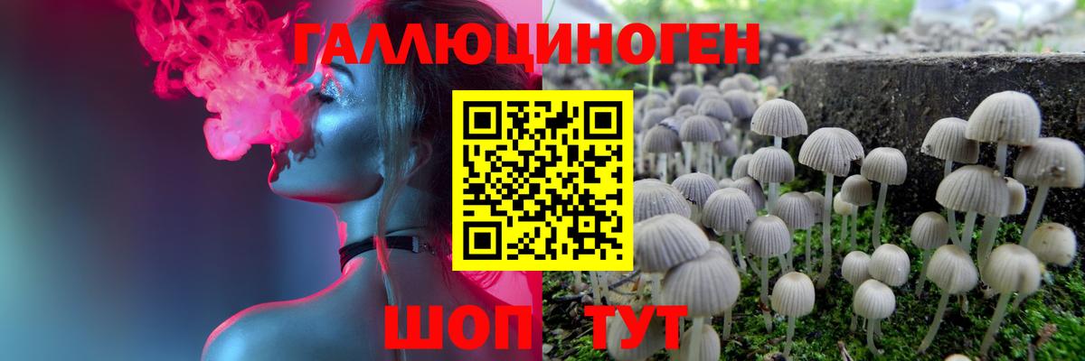 Чернушка  Галлюциногенные грибы ЛСД  Вход с VPN  Псилоцибиновые грибы прущие грибы 